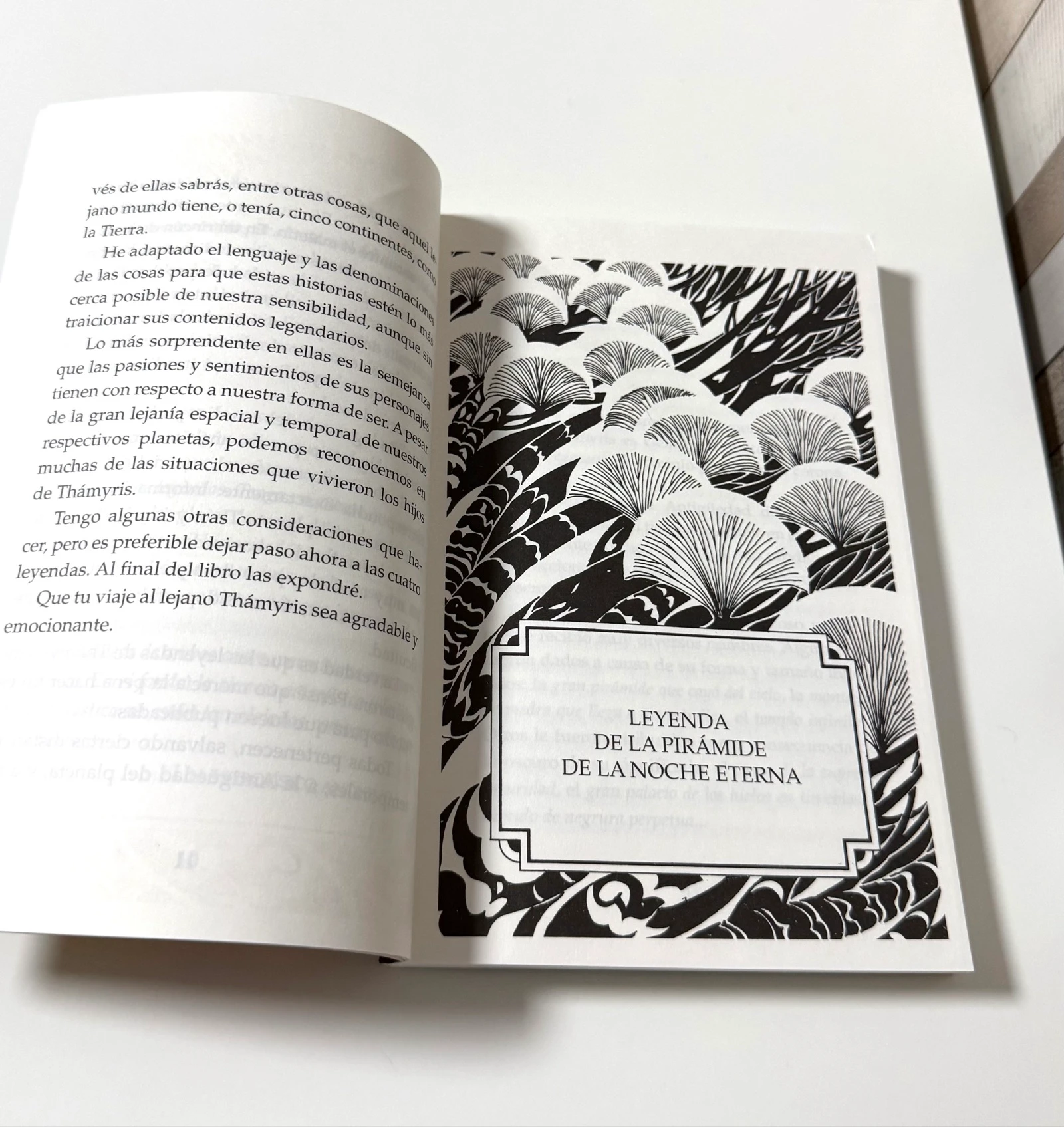 Libro Leyendas del planeta Thámyris – photo 5